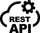 API icon